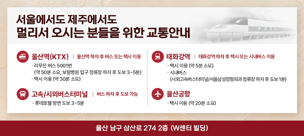 교통수단별 안내